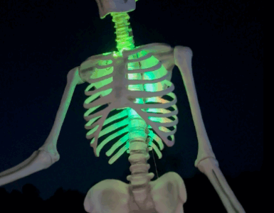 dueling dogs brewery