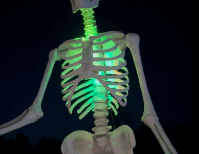 dueling dogs brewery