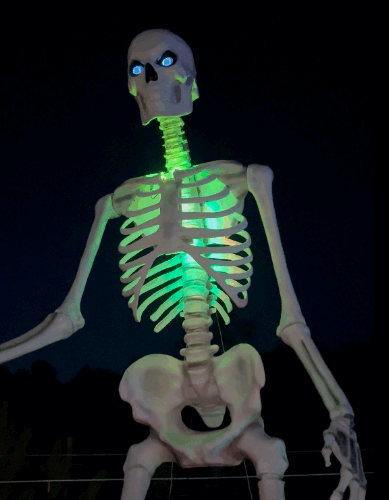 dueling dogs brewery